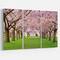 Designart - Stunning Cherry Blossoms Plenitude - Landscape Canvas Art Print